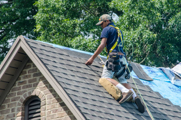 Best Roof Gutter Cleaning  in Mammoth Spring, AR